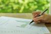 Financial report with green background