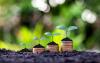 Coins with green plants