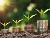 Sustainable money plants